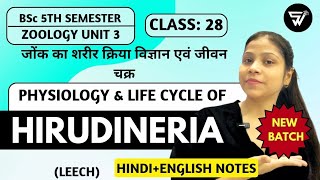 Physiology amp Life Cycle of HIRUDINERIA LEECH Annelida to Arthopoda  BSc 5th Semester ZOOLOGY [upl. by Swirsky]