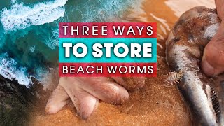 Three 3 Ways To Store Your BEACH WORMS [upl. by Nauqyt]