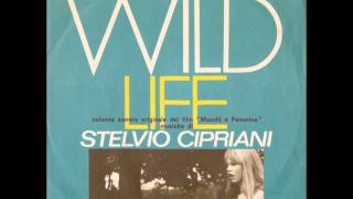 Stelvio Cipriani  Wild Life  theme from Maschi e Femmine 1972 [upl. by Baily964]