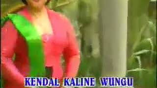 Kendal kaline wungu [upl. by Garrick210]