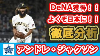 【新外国人選手】アンドレ・ジャクソンDeNAを徹底分析！！ [upl. by Warwick273]