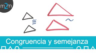 Congruencia y semejanza de triángulos│diferencia [upl. by Rozanna]