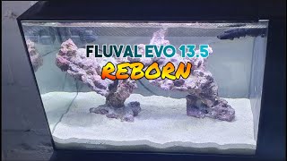 Fluval Evo 135 Reborn  The Set Up [upl. by Aniala884]