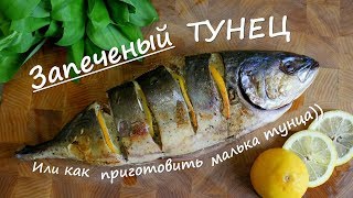 Как приготовить ТУНЕЦ  МАЛЕК ТУНЦА В ДУХОВКЕ [upl. by Atinat]