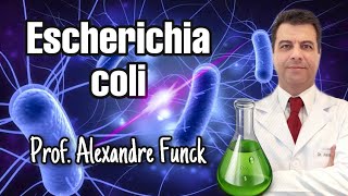 ESCHERICHIA COLI E COLI  PROF ALEXANDRE FUNCK [upl. by Clorinde]