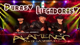 Los Alameños De La Sierra 🌟🌟🌟 Las Mas Chingonas PaBailar MIX ✨✨✨Corridos y Cumbias Sierreñas 🎉🎉 [upl. by Southard]