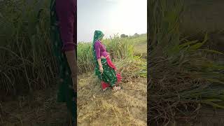 Sayre ki sayri122village life [upl. by Twelve]