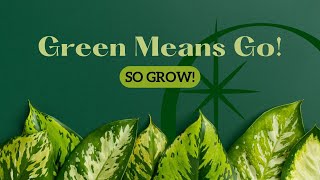 Green Means Go So Grow [upl. by Cash]