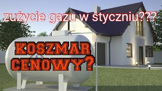 Ogrzewanie gazem  styczeń  ogromny koszt Cena kosmos [upl. by Nanek67]