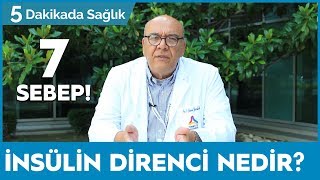 İNSÜLİN DİRENCİ NEDİR  EN ÖNEMLİ 7 SEBEBİ  5 Dakikada Sağlık [upl. by Gwenneth]