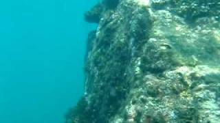 Snorkeling around the lava rock at Elephant Rock [upl. by Amathist478]