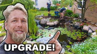 Garden POND UPGRADE W Wetland Filter [upl. by Ellard96]