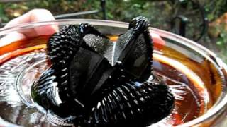 Fun with Ferrofluid [upl. by Niattirb]