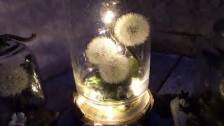 DIY mein PUSTEBLUMEN Aquarium  Deko Gläser BASTELN komplett in Upcycling  Deko Lampe [upl. by Enivid985]