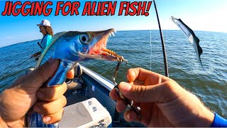 Jigging For Cutlassfish On The Chesapeake Bay This Was Wild [upl. by Enaelem]