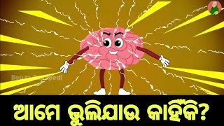 BUDHIA BUDHABAR 65  ଭୁଲିଯାଉ କାହିଁକି  Why do we forget  BOU RA GAPAPEDI  ODIA GAPA [upl. by Barbaresi]