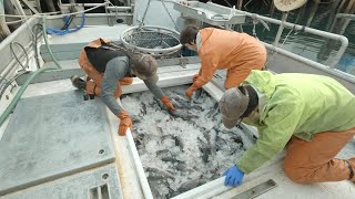 Lets Catch Some Rockfish  How Its Done Jigging in Alaska Start to Finish  Alaska Fishing [upl. by Aicnelev83]