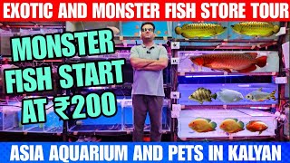 Exotic And Monster Fish Store Tour  Aquarium Fish Price  Asia Aquarium And Pets In Kalyan [upl. by Ailes]