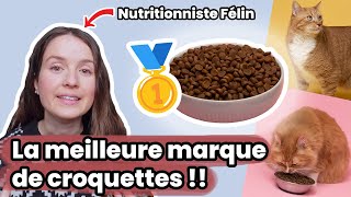 Quelle est la meilleure marque de croquettes pour chat  Lavis dune nutritionniste félin [upl. by Ebarta]