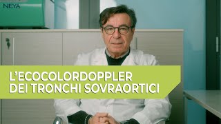 LEcoColorDoppler dei Tronchi Sovraortici TSA  a cura del Dott Michele Casamassima [upl. by Orimisac43]