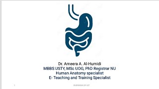 anatomical based defect of duodenal ulcer and paralytic ileus [upl. by Narf]