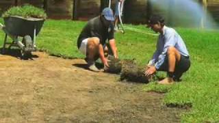 Laying new turf  Lawn Installation [upl. by Yvan916]