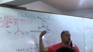 13 Pyrimidine Synthesis [upl. by Jimmy]