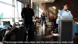 Lounge review AER LINGUS at Dublin Airport [upl. by Allard]