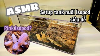 ASMR hướng dẫn setup tank nuôi isopod cơ bản  isopods tank setup  SSgecko  Daily News [upl. by Damara]