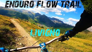 MTB Enduro FLOW single Trail INFINITO a Livigno [upl. by Ahtanoj950]