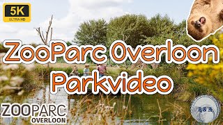 ZooParc Overloon 2024 Parkvideo 5K 60fps [upl. by Gassman]