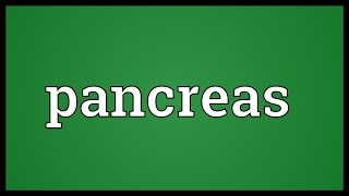 Pancreas Meaning [upl. by Nnyroc]