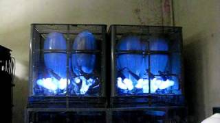 Mercury Arc Rectifier [upl. by Gievlos]