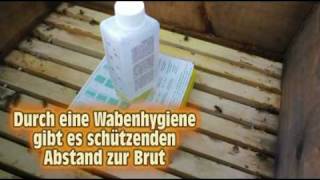 Varroa Behandlung mit dem Liebig Dispenser [upl. by Nerti]