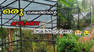 1ലക്ഷത്തിന്റെ aviary എല്ലാം പോയി ഗൈസ് 😭aviary broken home aviary [upl. by Larena525]