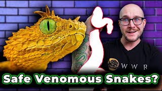 Top 5 SAFEST Venomous Snakes As Pets [upl. by Meikah]