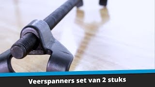 Veerspanners set van 2 stuks  Datonanl [upl. by Bibi]