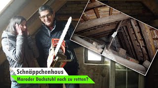 Maroden Dachstuhl retten  Dachsanierung  Dachboden ausbauen 🏡 Bauvlog 7 [upl. by Esilec]