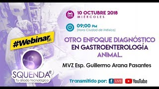 Otro Enfoque Diagnóstico En Gastroenterología Animal  MVZ Esp Guillermo Arana Pasantes [upl. by Gerhardt]