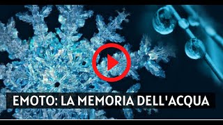 Masaru Emoto  I messaggi dellacqua le scoperte del famoso ricercatore giapponese [upl. by Dnalhsa]