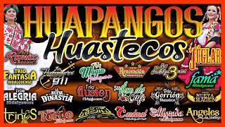 HUAPANGOS HUASTECOS 27Exitos [upl. by Nnylrahc]