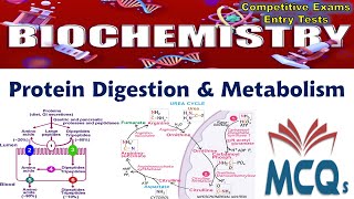 Biochemistry  Metabolism of Proteins and Amino Acids MCQs [upl. by Azaleah145]