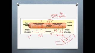 EDEMA  FISIOPATOLOGIA [upl. by Orazal]