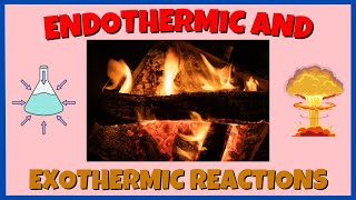 Endothermic and Exothermic Reactions  Chemical Reactions  Energy Changes [upl. by Earla783]