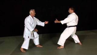 Bunkai Hangetsu Karate avec sensei JeanPierre Lavorato [upl. by Yreffeg]