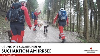 Suchaktion am Irrsee  Zwei vermisste Jugendliche in Zell am Moos  Einsatz Übung [upl. by Jotham]