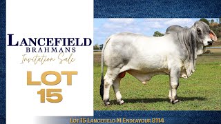 Lot 15 Lancefield M Endeavour 8114 [upl. by Adnilrev]