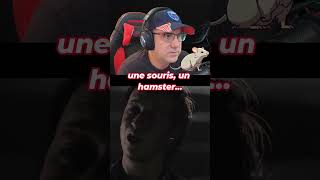 Ça doit être juste un rongeur  The Quarry on twitch gaming twitch funny live thequarry [upl. by Kaila]