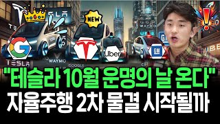 10월 로보택시 발표 앞둔 테슬라 자율주행 관련주 기회올까 [upl. by Glynda]