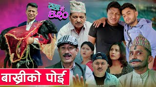 बाख्रीको पोइ  Wada Nambar 420  वडा नम्बर ४२०   Episode 14  The Pk Vines  MYAKURI COMEDY VIDEO [upl. by Sidman]